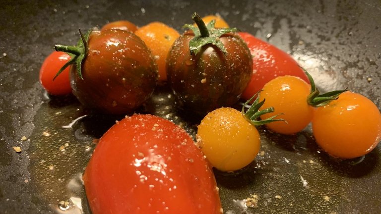 tomato 2.jpeg