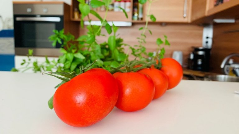 tomato 1.jpeg
