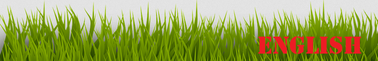 Screenshot 2022-09-05 at 13-15-49 grass-2029768_960_720.png (Imagen PNG 960 × 480 píxeles).png
