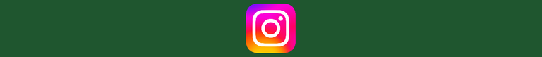 instagram Sin título.png