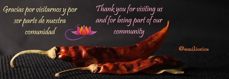 indian-spice-4325181_1280.jpg