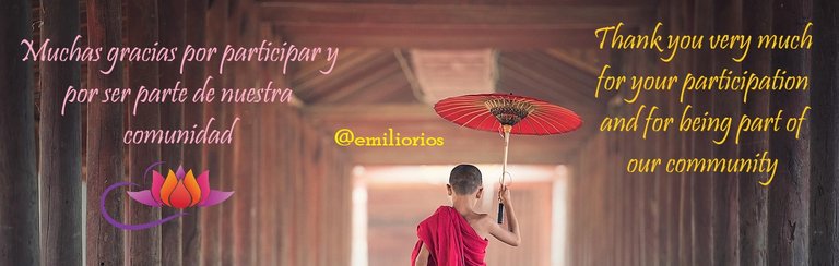 umbrella-1807513_1280.jpg