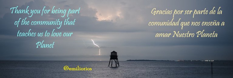 lightning-5511473_1280.jpg