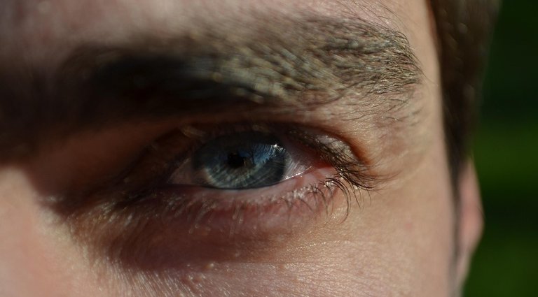 eyes-1042053_1280.jpg