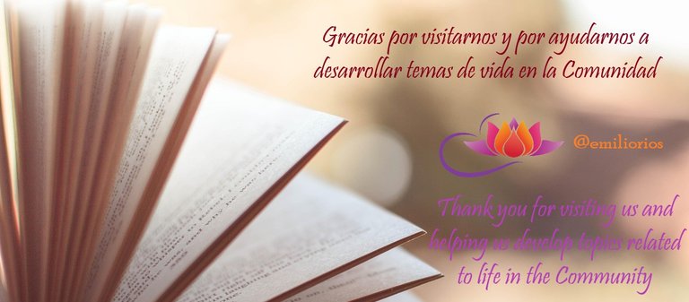 book-1283865_1280.jpg
