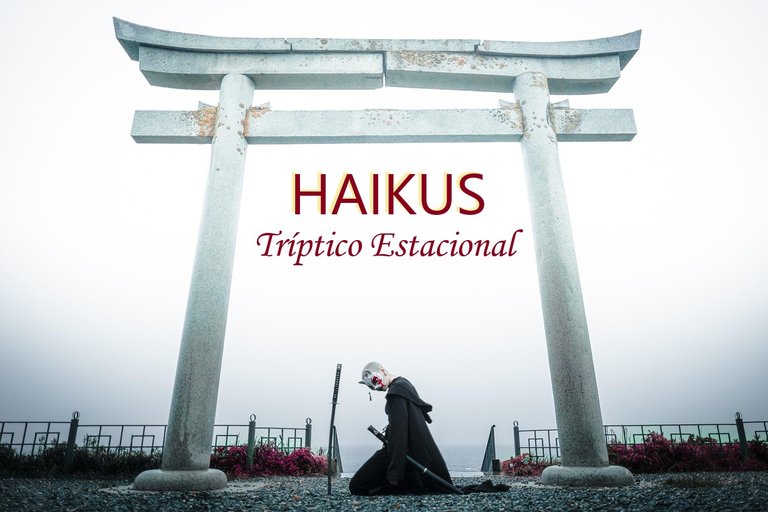 MI ENTRADA A LA 9NA CONVOCATORIA / Tríptico de Haikus