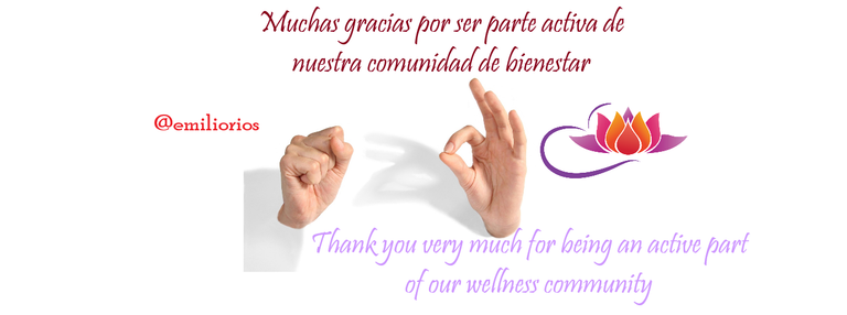 gracias.png