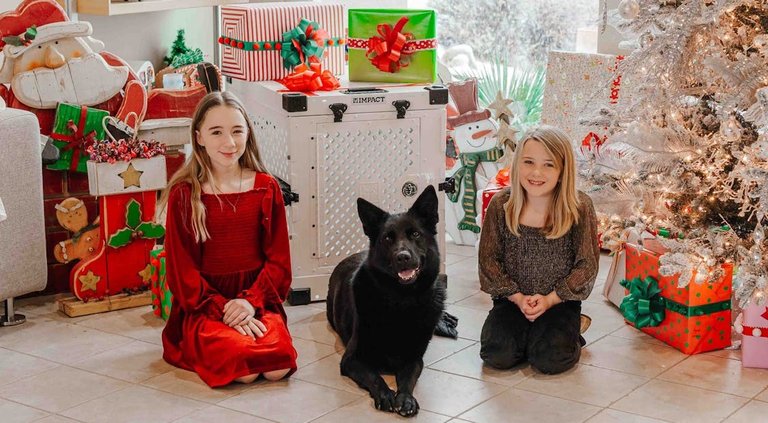 free-photo-of-escena-festiva-de-vacaciones-con-ninos-y-perro-junto-al-arbol-de-navidad.jpg