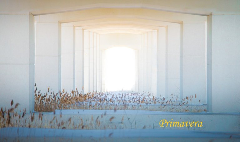 bridge-4456255_1280.jpg