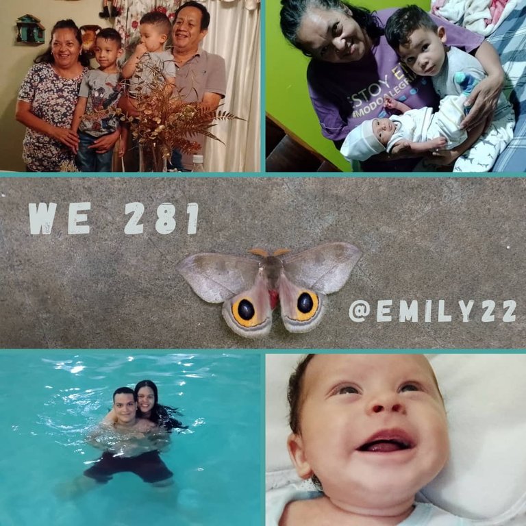 WhatsApp Image 2025-11-01 at 3.18.10 AM.jpeg