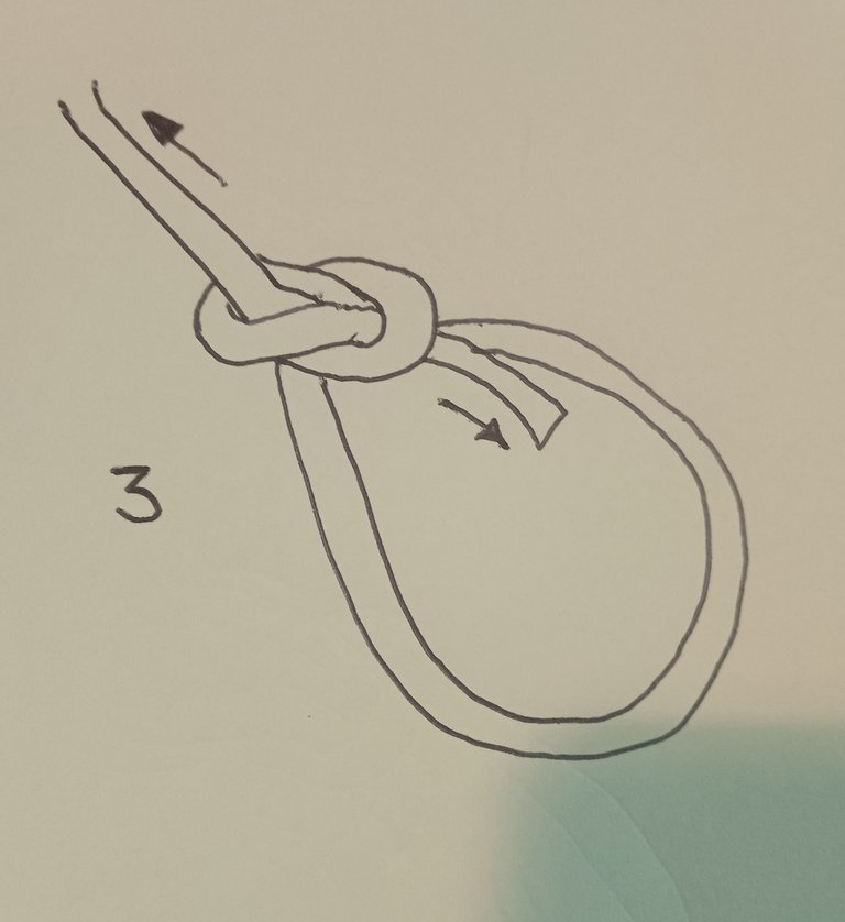 The Bowline Knot3.jpg