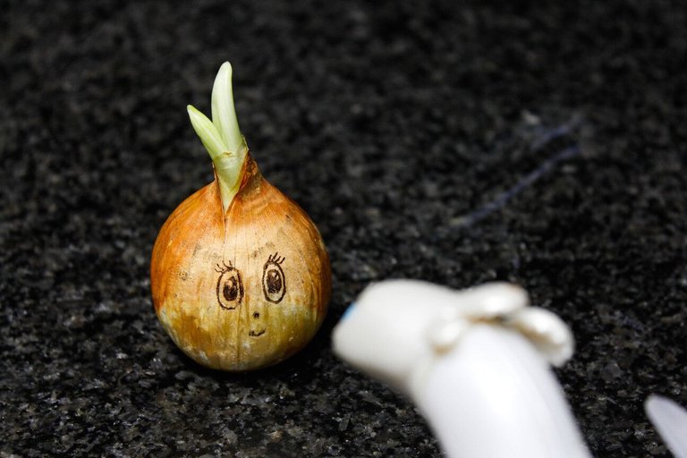 A dumb onion..jpg