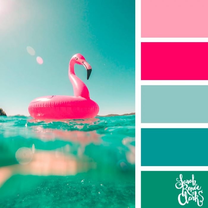 color-palette-090-flamingo-700x700.jpg