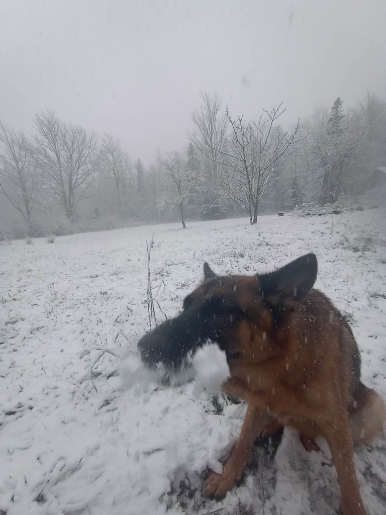 crunchsnow.jpg