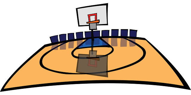 basketball-gc58d3e4ea_640.png