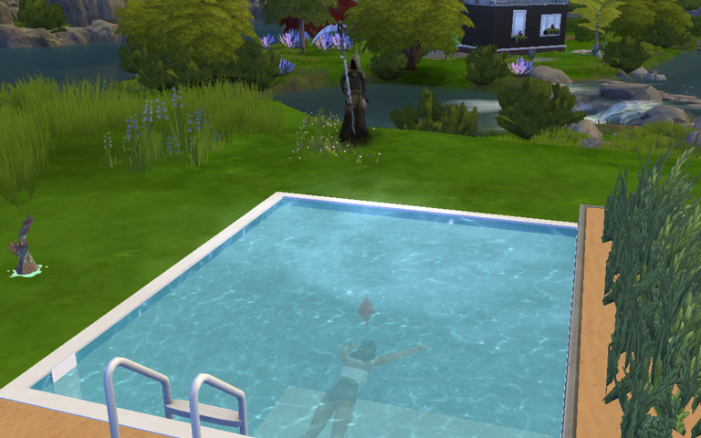 A dead sim in the pool...