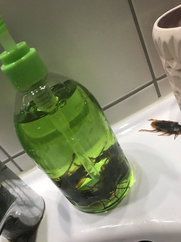 I was looking for some green soap, and I found it. I had some fake cockroach in the soap too. BUT, this soap was awful and it went in the trash right after the party. Never buying bad soap again.