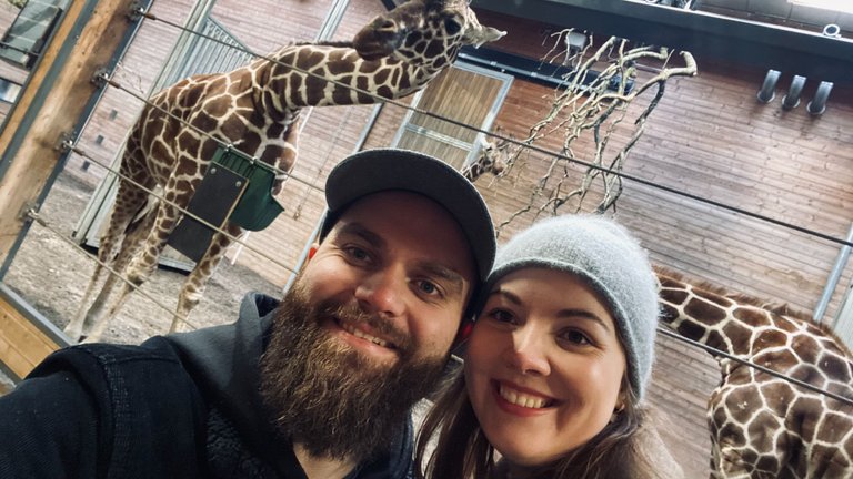 We did spend a little bit extra time with the giraffes. They are some amazing animals!