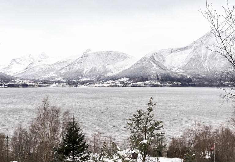 Last winter. I love the look of a winter wonderland in Norway. This is taken in Hareide, Norway.