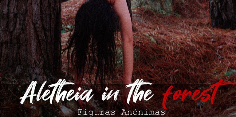 Aletheia-in-the-forest-Portada-1-foto.jpg