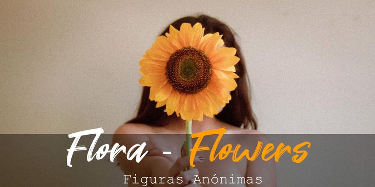 Flora-Flowers-Portada.jpg