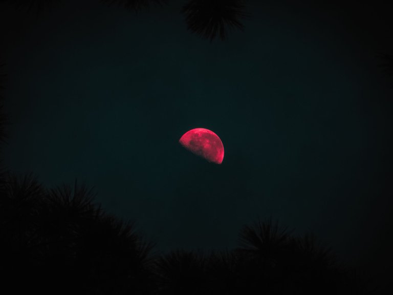 Red moon-1.jpg