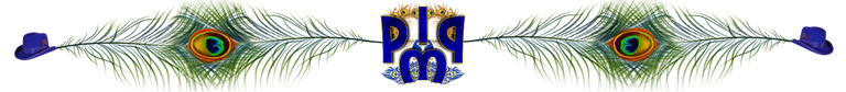 PIMP divider.png
