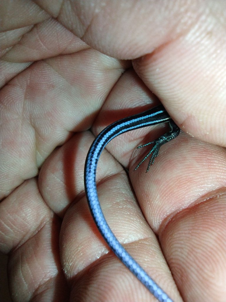 IMG_20230814_170006641.jpg