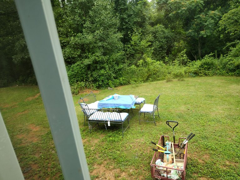 IMG_20230708_172412441.jpg