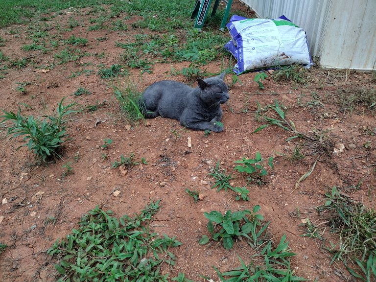 IMG_20230708_172336789_HDR.jpg