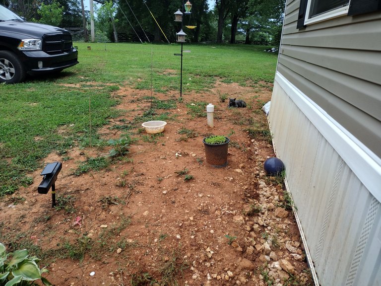 IMG_20230708_171718280_HDR.jpg