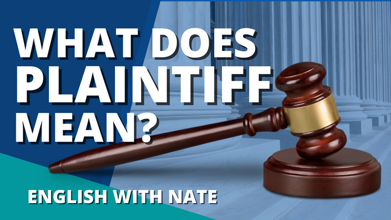WHAT DOES PLAINTIFF MEAN.png