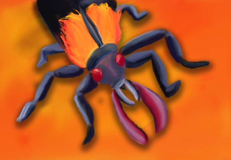 fire beetle.jpg