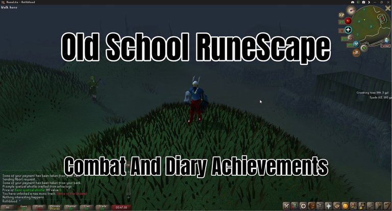 Combat And Diary Achievements.jpg