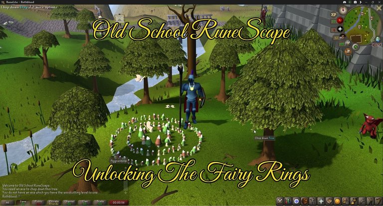 Unlocking the fairy rings.jpg