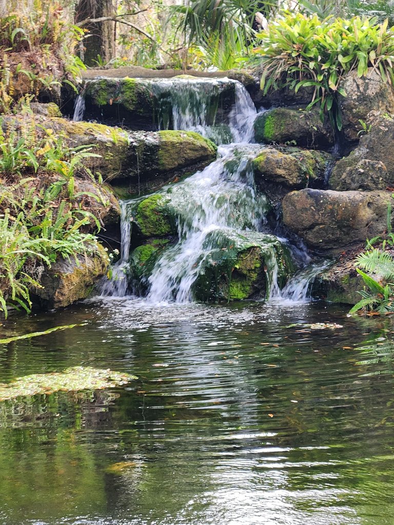 the first waterfall.jpg