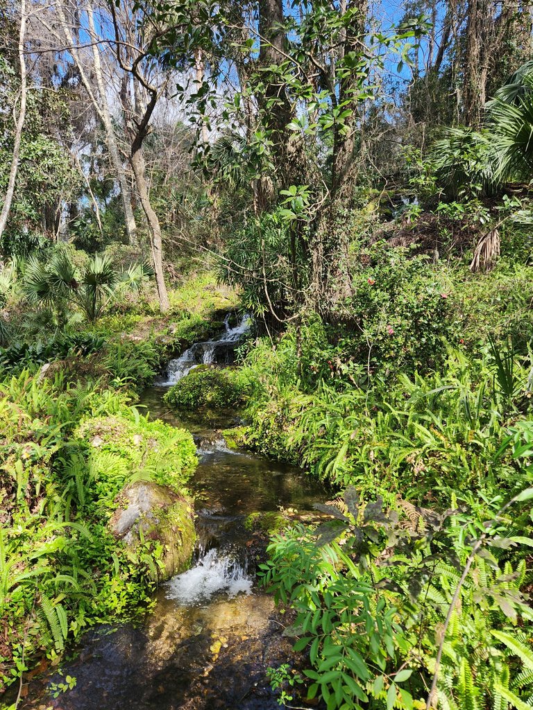 another waterfall.jpg