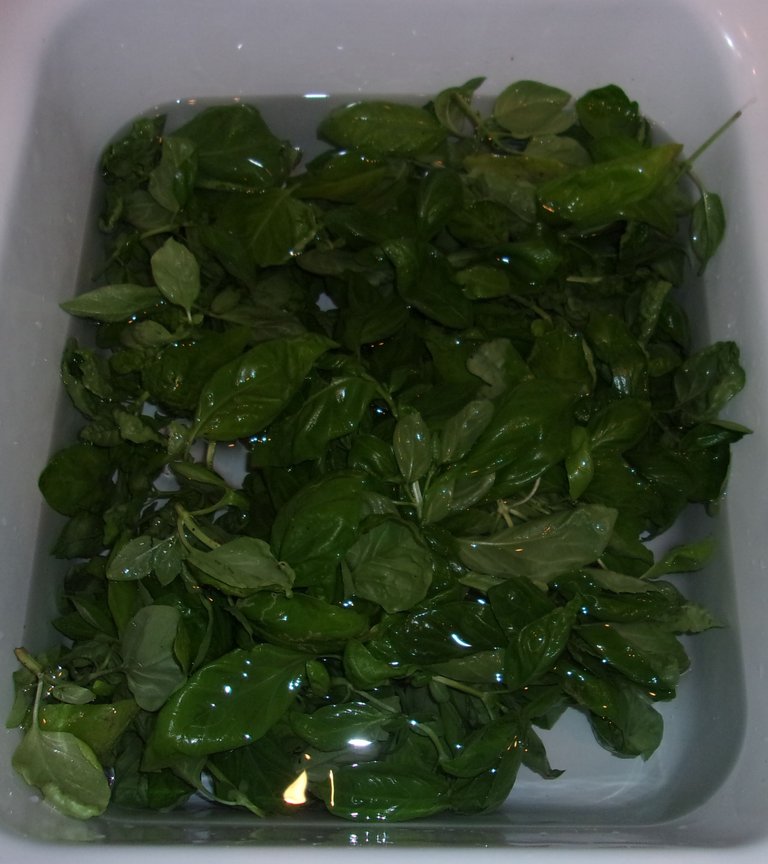 basil wash.jpg