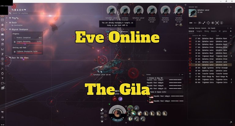 The Gila C.jpg
