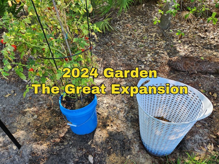 2024 garden.jpg