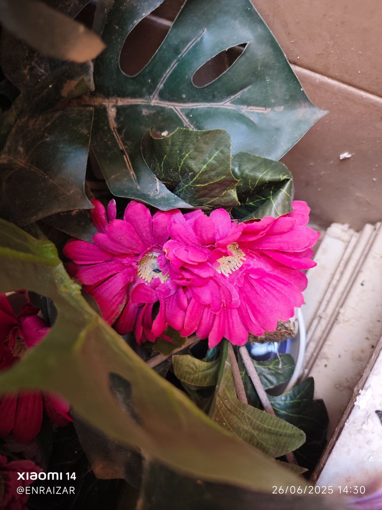 IMG_20250626_143022.jpg