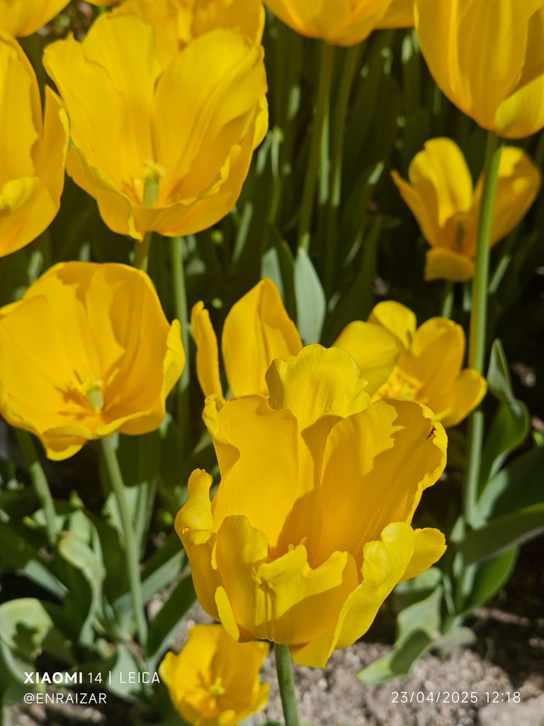 IMG_20250423_121837.jpg