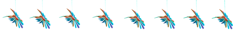colibri4.png