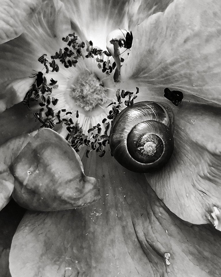 20250602_154711.jpg