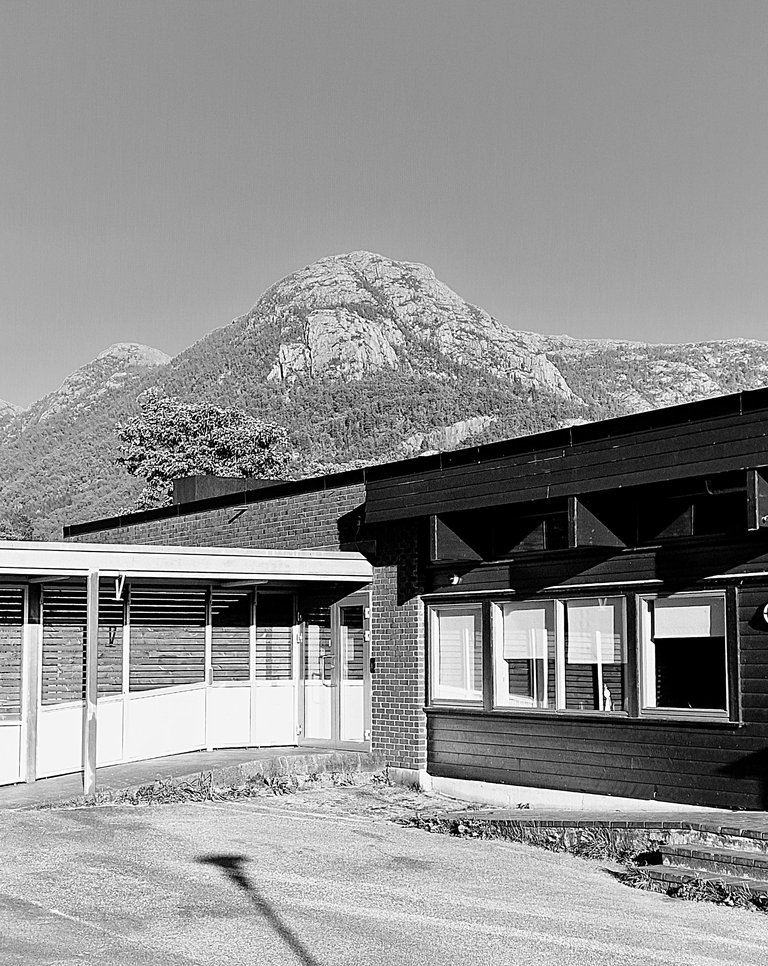 20250515_195154.jpg