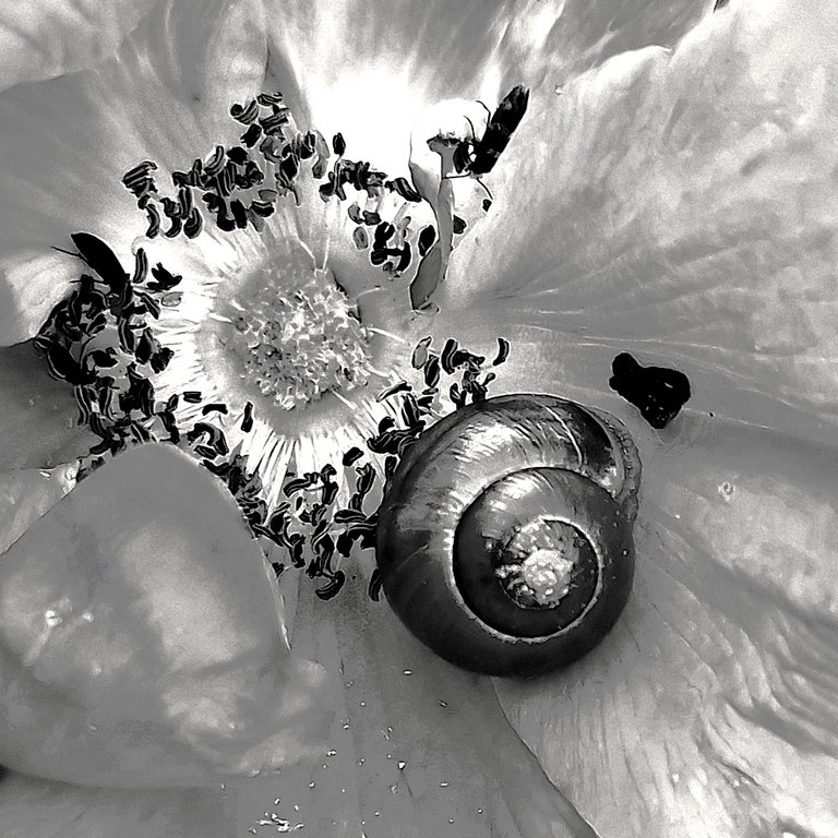 20250602_154836ææ.jpg
