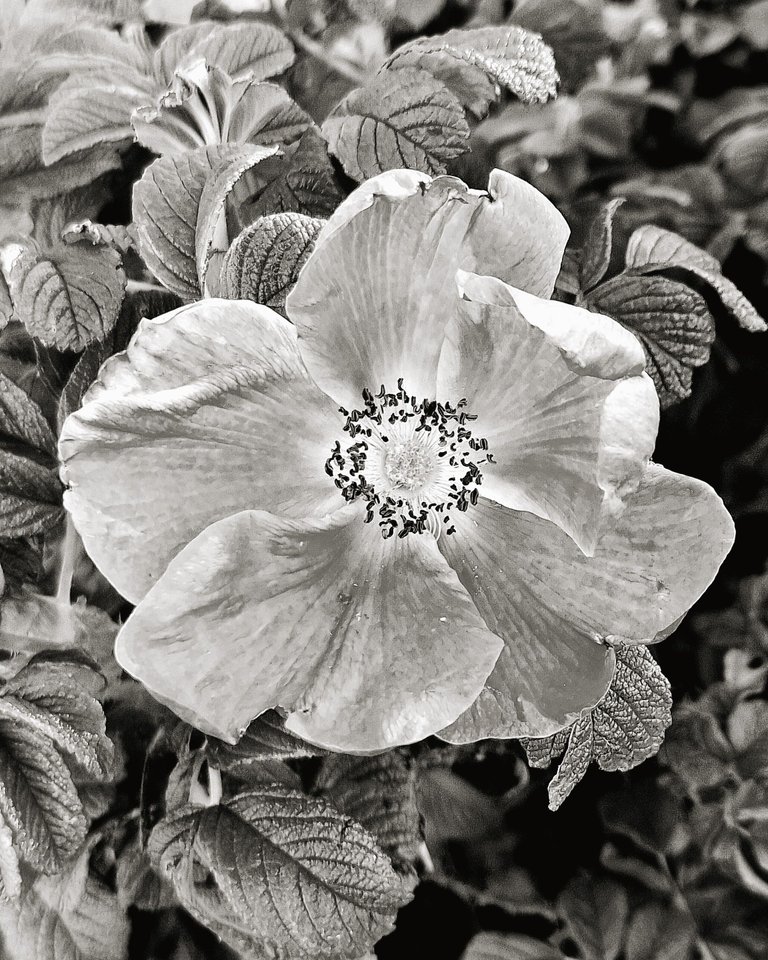 20250602_160001.jpg