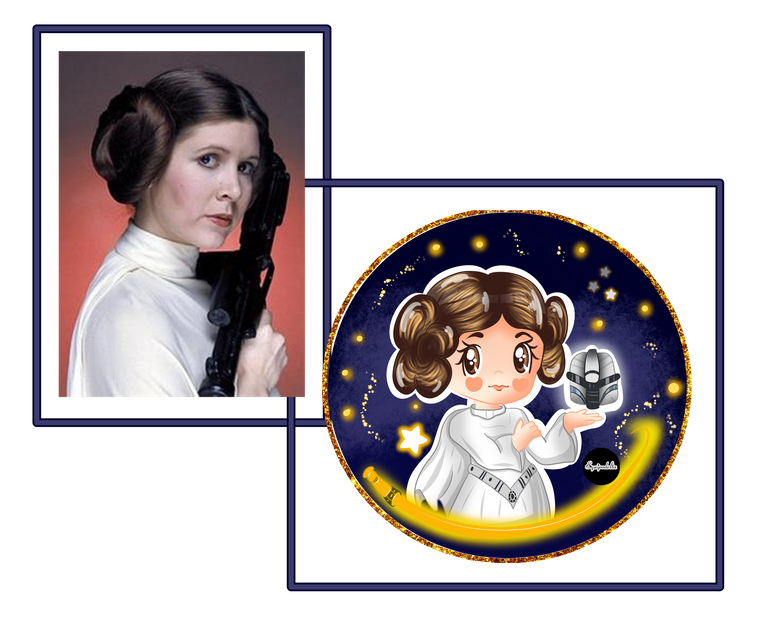 leia prin.png