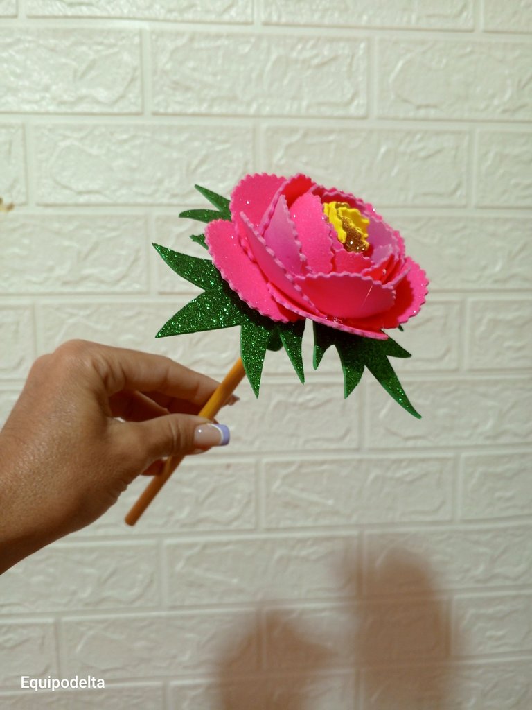 IMG_20250605_171202_116.jpg