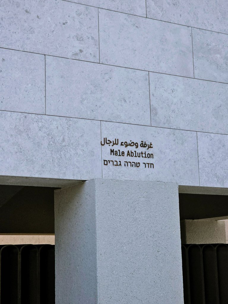 1000033526.jpg